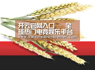 开云官网入口 - 全球热门电竞娱乐平台