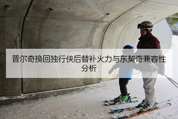 普尔奇换回独行侠后替补火力与东契奇兼容性分析