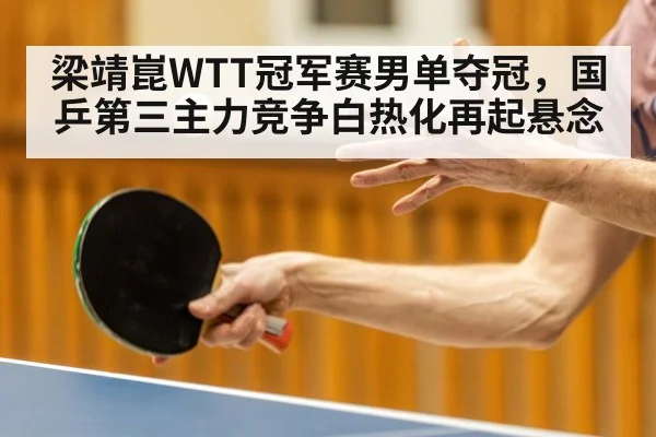 梁靖崑WTT冠军赛男单夺冠，国乒第三主力竞争白热化再起悬念