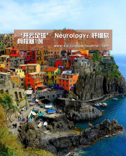 ‘开云足球’
Neurology:纤维软骨栓塞1例(图2) 开云体育