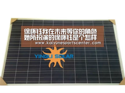 徐怀钰我在未来等你的角色 她所扮演的徐怀钰是个怎样的人:开云娱乐(图3) 开云官网