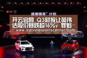 开云官网_Q3财报让英伟达股价暴跌超16%,罪魁祸首却是加密货币(图2) 开云官网